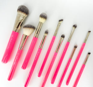 10 Piece Pro Brush Set
